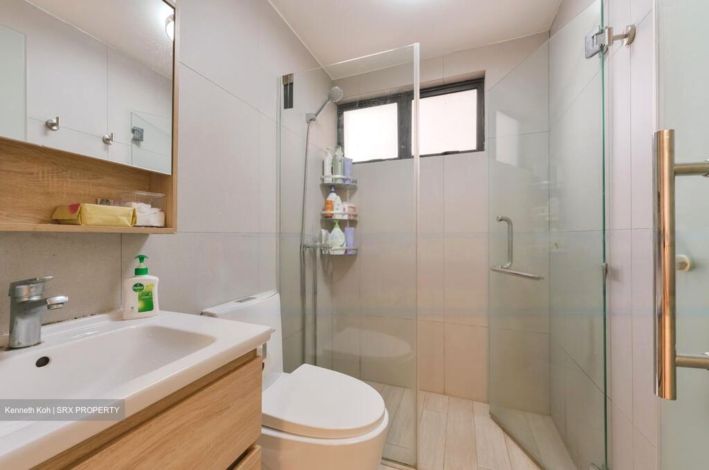 Bayshore Park (D16), Condominium #480119951